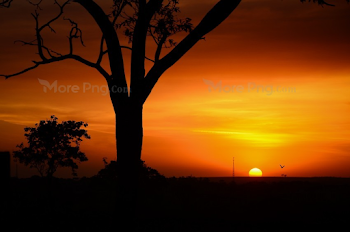Download Free png sunset background blur Photo #2985 Download By ...