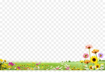 Download - Garden lawn 