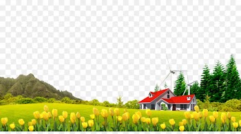 Download Google Images Computer file - Hill House Tulip Free to pull the material 