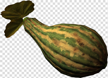 Download Gourd - Gord Food PNG Image with No Background - PNGkey.com