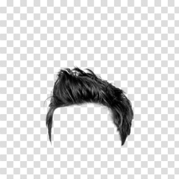 Download HAIRSTYLES Free PNG transparent image and clipart