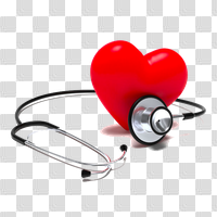 Download Health Free PNG photo images and clipart | FreePNGImg