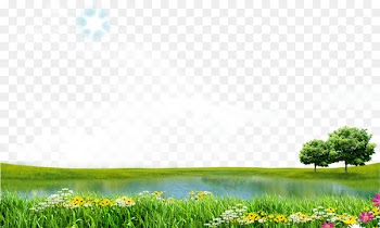 Download Icon - Spring Lake View 