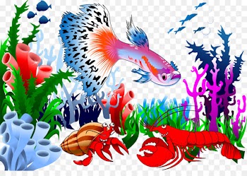 Download Illustration - Vector peacock fish and lobster 