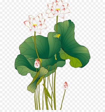 Download Ink wash painting - Color Ink Chinese style lotus 