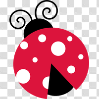Download Ladybug Free PNG photo images and clipart | FreePNGImg