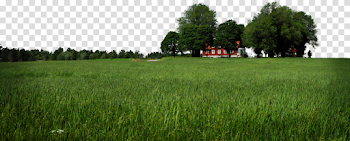 Download Landscape PNG Image - Free Transparent PNG Images, Icons ...