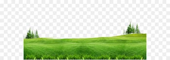 Download Lawn Gratis Wallpaper - Green grass background free of material 