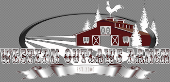 Download Looking For Karakachan Livestock Guardian Puppies For ...