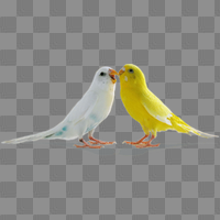 Download Love Birds Free PNG photo images and clipart | FreePNGImg