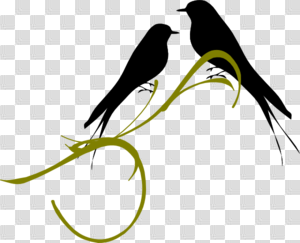 Download Love Birds Png Hd HQ PNG Image | FreePNGImg