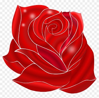 Download - Make Draw A Rose