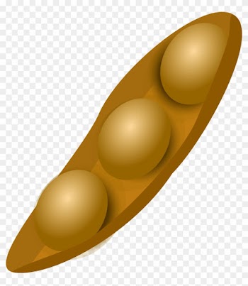 Download Medical Sciences - Soybean Clipart