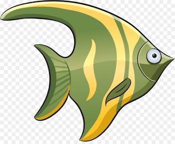 Download Mobile app Fish Image Android application package - fish 