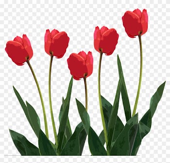Download - Mothers Day Clipart Png