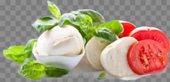 Download Mozzarella Cheese - Mozzarella Png PNG Image with No ...