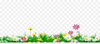 Download Nature - Flowers in full bloom natural environment 