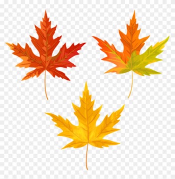 Download Orange Fall Leaves Clipart Png Photo - Maple Leaf