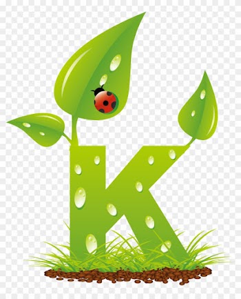 Download Png - Download Png