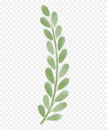 Download Png - Painted Leaf Png