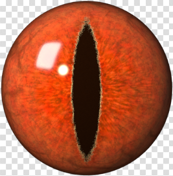 Download Pooper Eye - Dragon Eye Png PNG Image with No Background ...