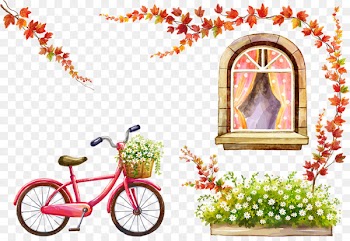 Download Resource - Bicycle and windows 