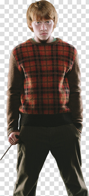 Download Ron Weasley Transparent Background PNG Image with No ...