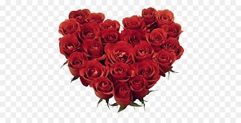 Download Rose Desktop Wallpaper Display resolution - rose 
