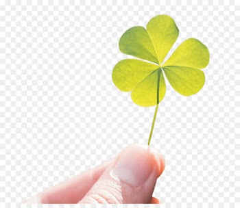 Download, Shamrock, Computer Icons, Leaf, Green PNG