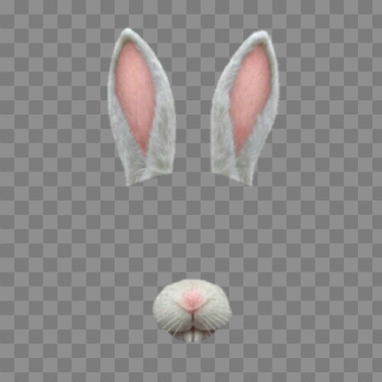 Download SNAPCHAT FILTERS Free PNG transparent image and clipart