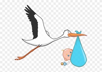 Download - Stork Baby Transparent Background