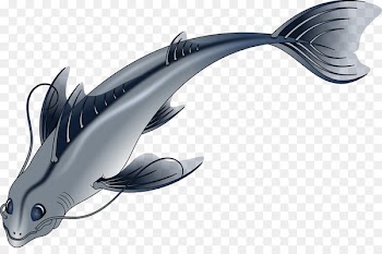 Download - Swimming fish 