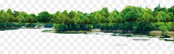 Download Tree Computer file - plant 