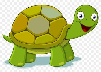 Download Turtle Png Transparent Images Transparent - Turtle Clipart Png