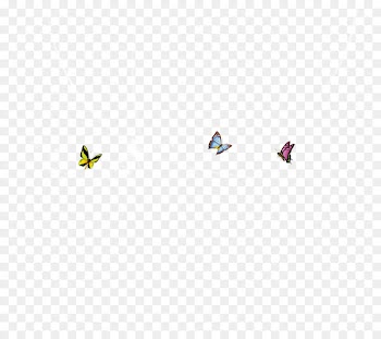 Download Valentines Day Butterfly - butterfly 