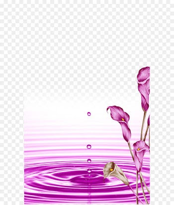 Download Wallpaper - Atmospheric background beautiful purple flowers 