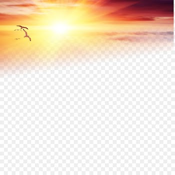 Download Wallpaper - Lofty sunset under the solitary goose 