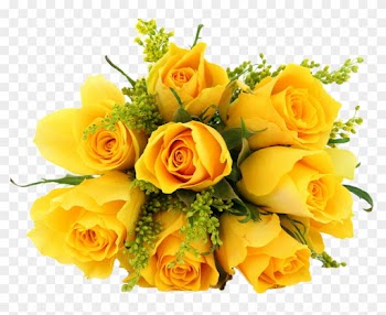 Dozen Yellow Roses Bouquet - Yellow Roses Bouquet
