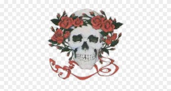 Dr Mark - Grateful Dead Skull And Roses