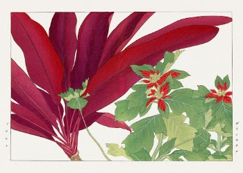 Dracaena & poinsettia woodblock painting | Free Photo Illustration - rawpixel