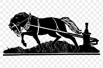Draft horse png sticker, farm | Free PNG - rawpixel