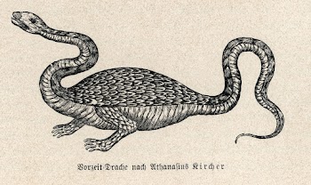 Dragon (1664&ndash;1678) drawing in high resolution by Athanasius Kircher. Original from Weltall und Menschheit. Digitally enhanced by rawpixel.