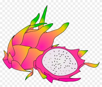 Dragon Cliparts - Dragon Fruit Clipart Transparent