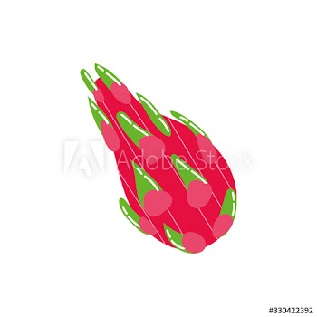 dragon exotic fruit flat style