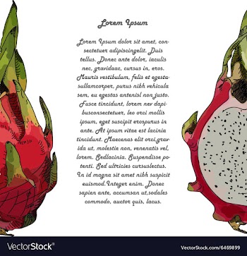 Dragon fruit or pitahaya With text vector image