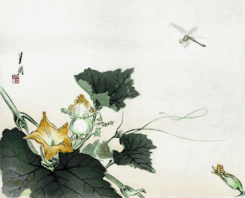 Dragonfly above a pumpkin blossom | Free Photo Illustration - rawpixel