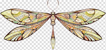 Dragonfly Abstract art Butterfly, dragonfly transparent background PNG clipart