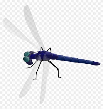Dragonfly Clipart