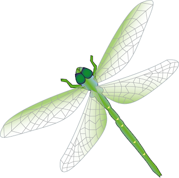 dragonfly green 2 - /animals/bugs/D/dragonfly/dragonfly_2 ...