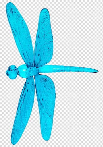 Dragonfly Insect Watercolor painting, Hand-painted Dragonfly transparent background PNG clipart
